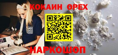 шишки Новозыбков