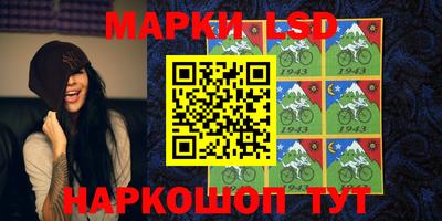 шишки Новозыбков