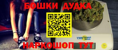 шишки Новозыбков