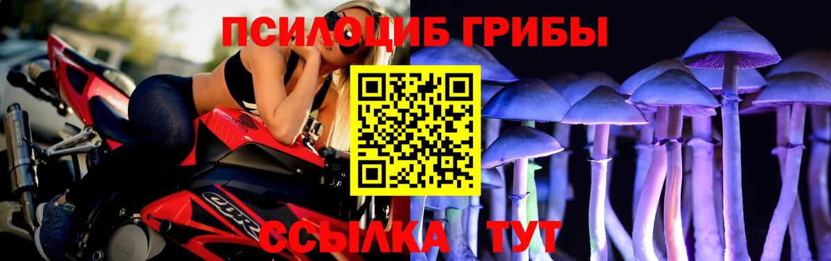Галлюциногенные грибы Psilocybine cubensis Сосновоборск